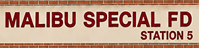 msfdlogositeretina